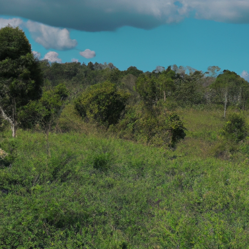 Tips Memilih Warna Pakaian Untuk Warna Kulit Gelap